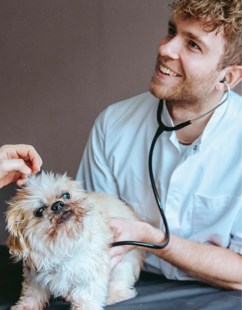 Milieu en duurzaamheid bij een dierenartsenpraktijk