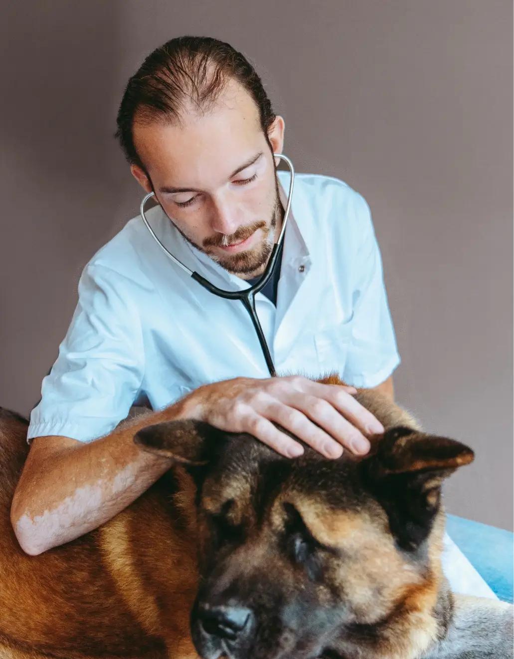 Preventieve gezondheidszorg dierenartspraktijk