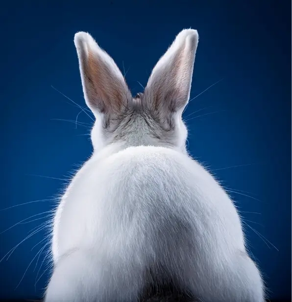 Preventieve gezondheidszorg