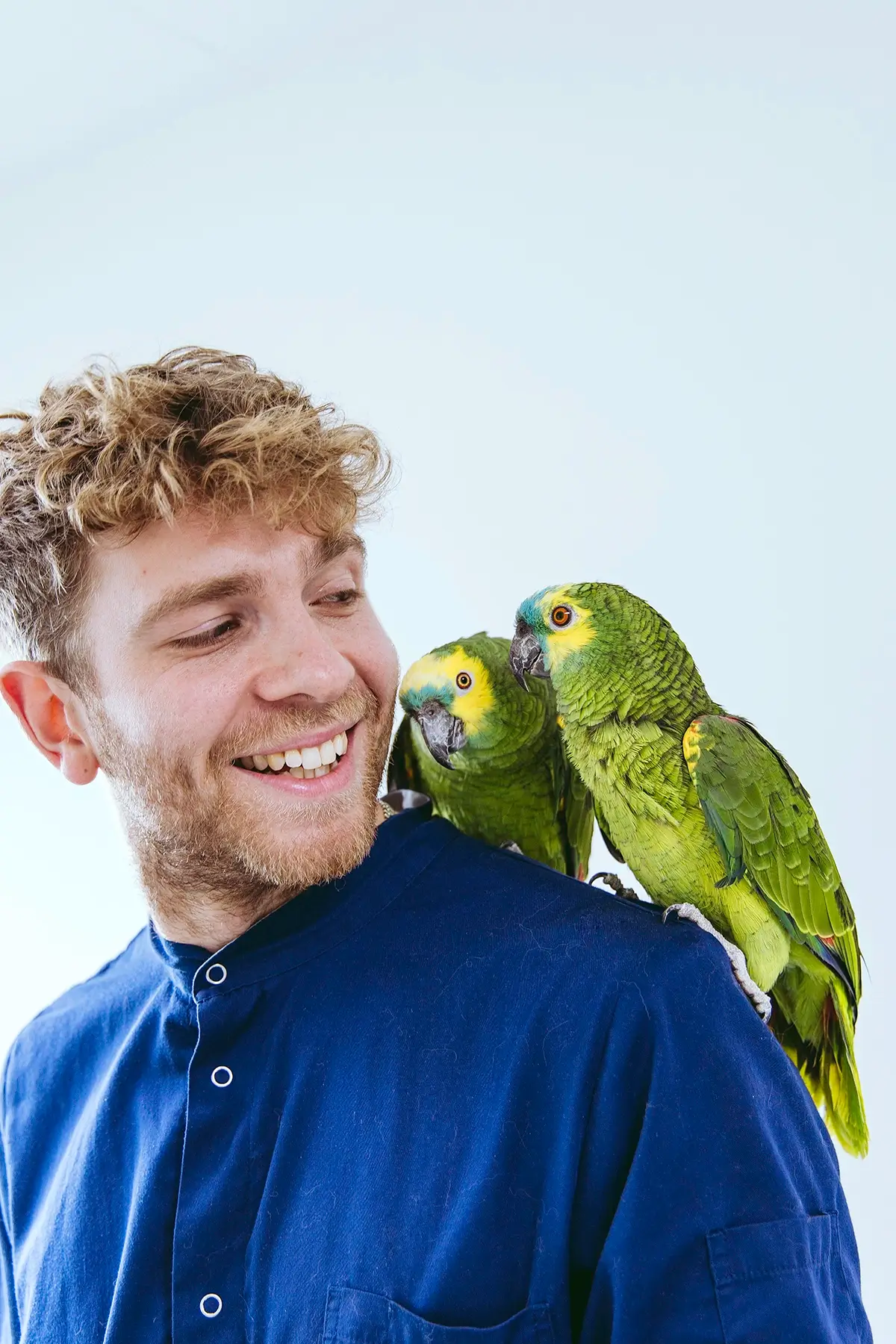 Dierenarts voor konijnen cavia’s hamsters fretten papegaaien zangvogels kippen schildpadden hagedissen slangen salamanders kikkers en vissen
