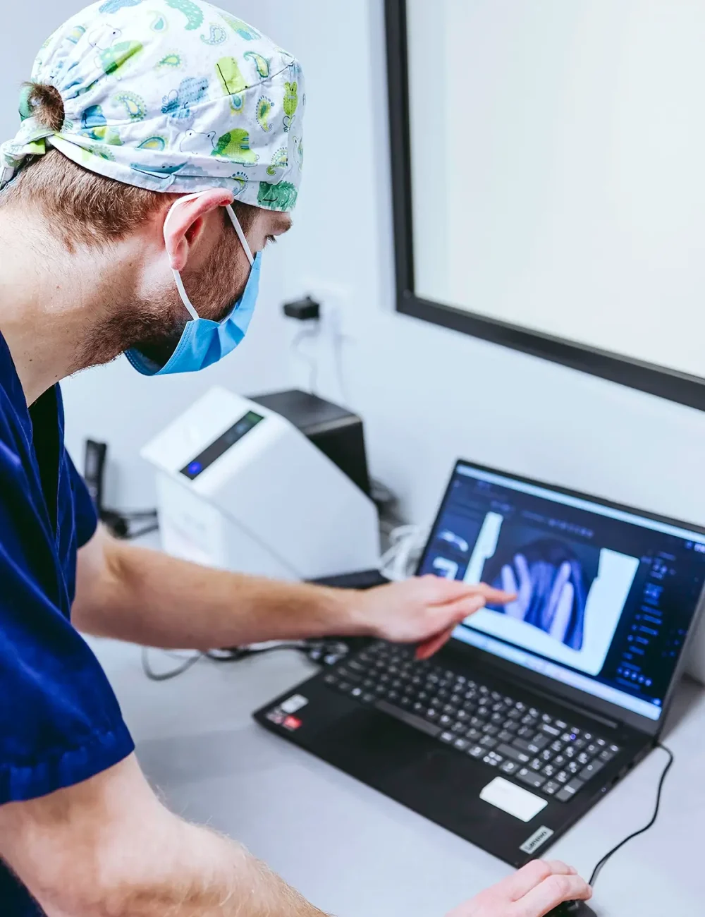 Gebitsbehandeling dierenarts dieren huisdier kat hond poes